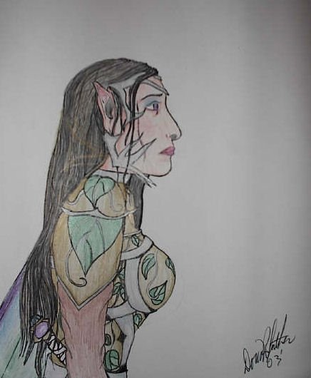 Elvenmoon Shadowhunter